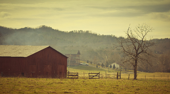 FIELD WITH BARN IN THE BACKGROUND